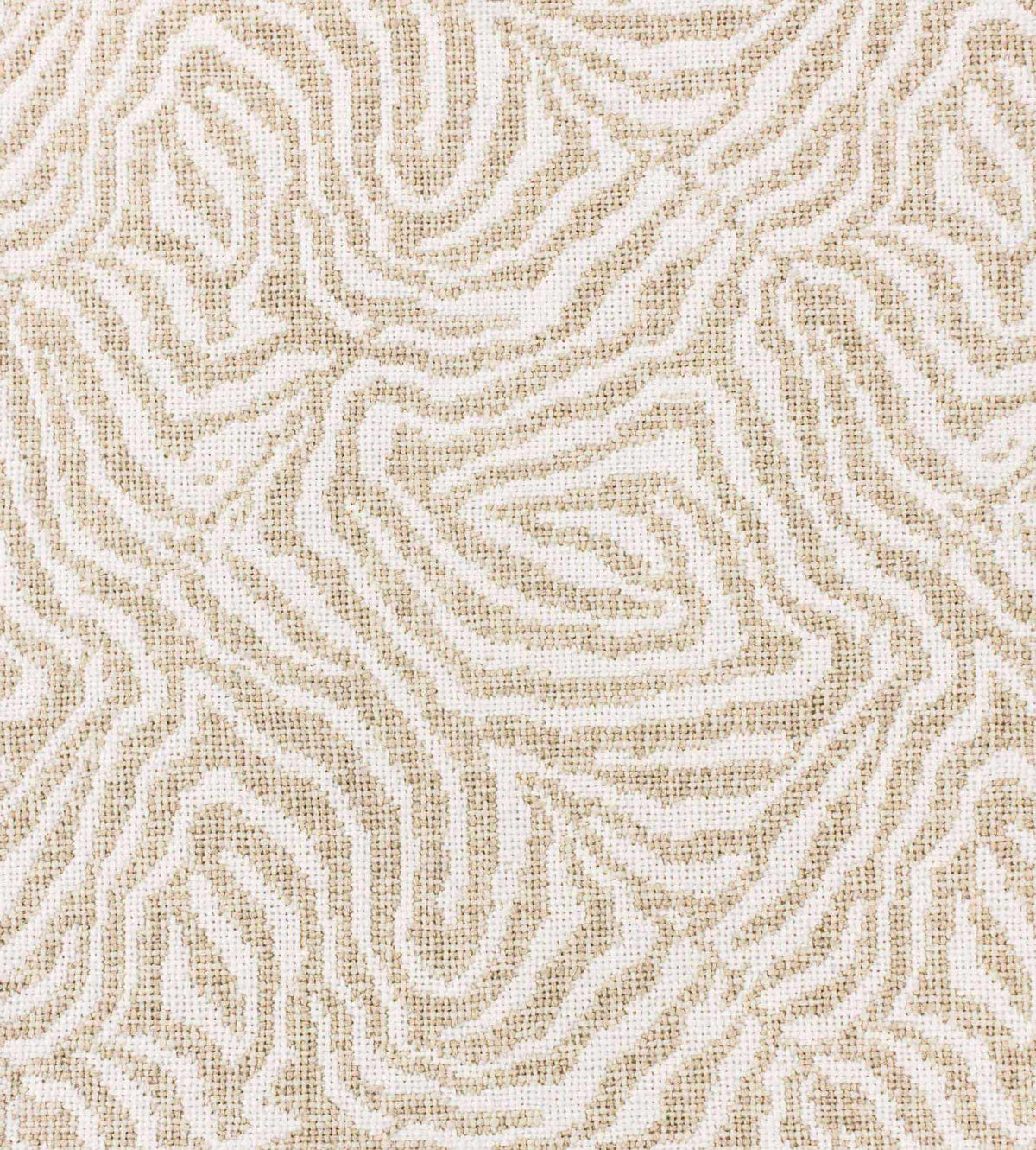Small Zebra White Gold carpet sample