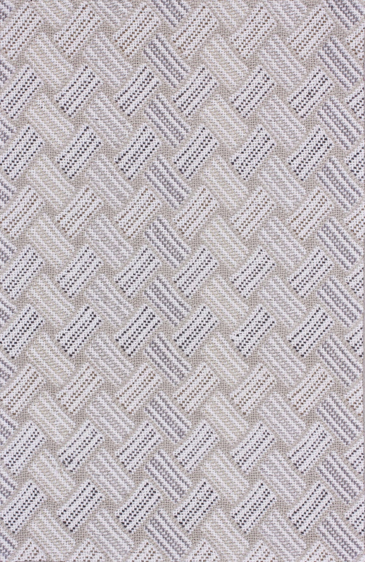 Triple Weave Oyster Grey Walnut carpet sample
