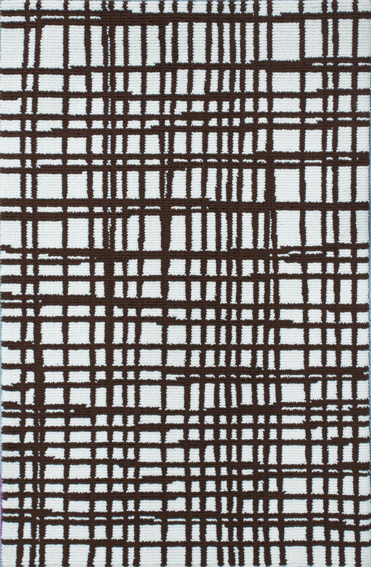 Wild Plaid Brown White carpet sample