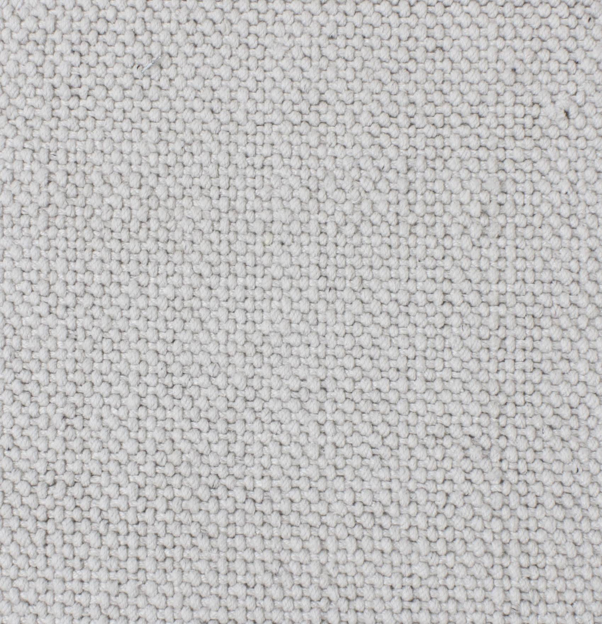 Cruz Pearl carpet sample